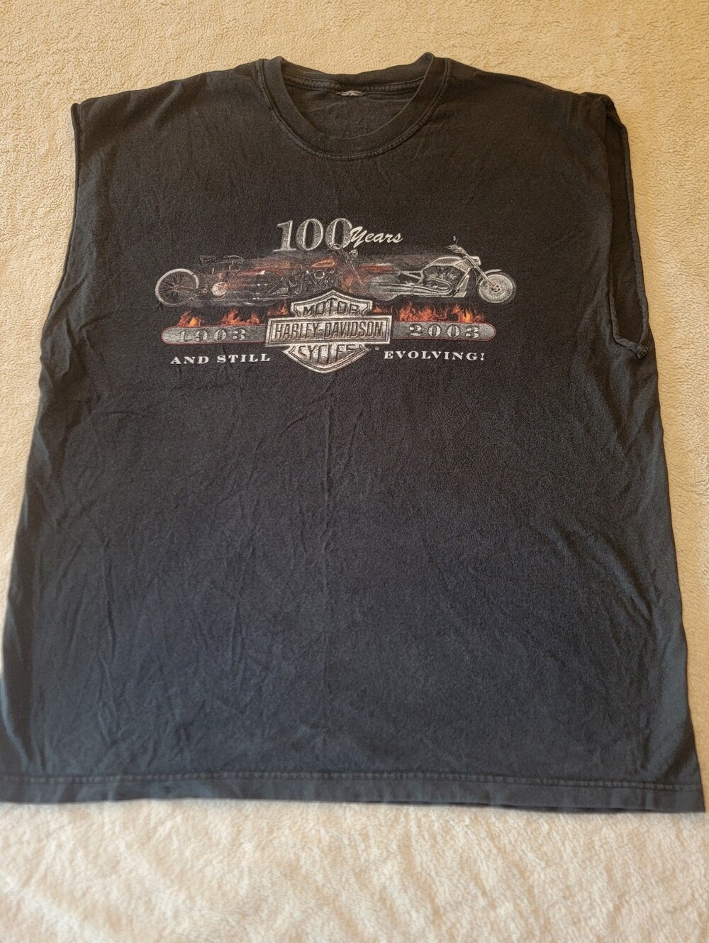 Y2K Vintage Harley-Davidson 100th Anniversary Distressed Muscle Tee Men's XL